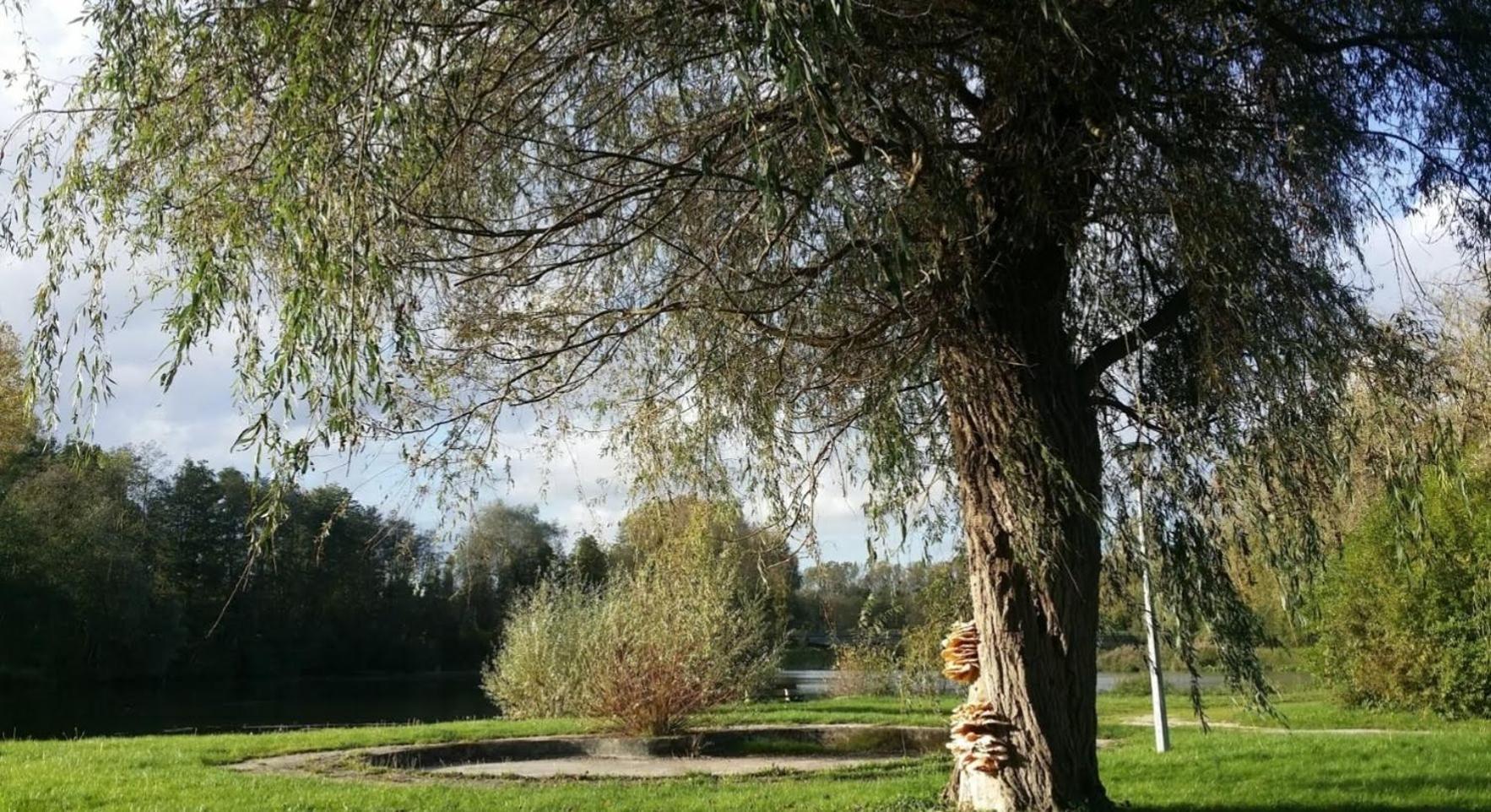 A La Vielle Halle Souppes-sur-Loing 외부 사진